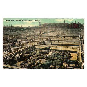 Cattle Pens Union Stock Yards Chicago Vintage Postcard Pre-1940s Unused Ephemera